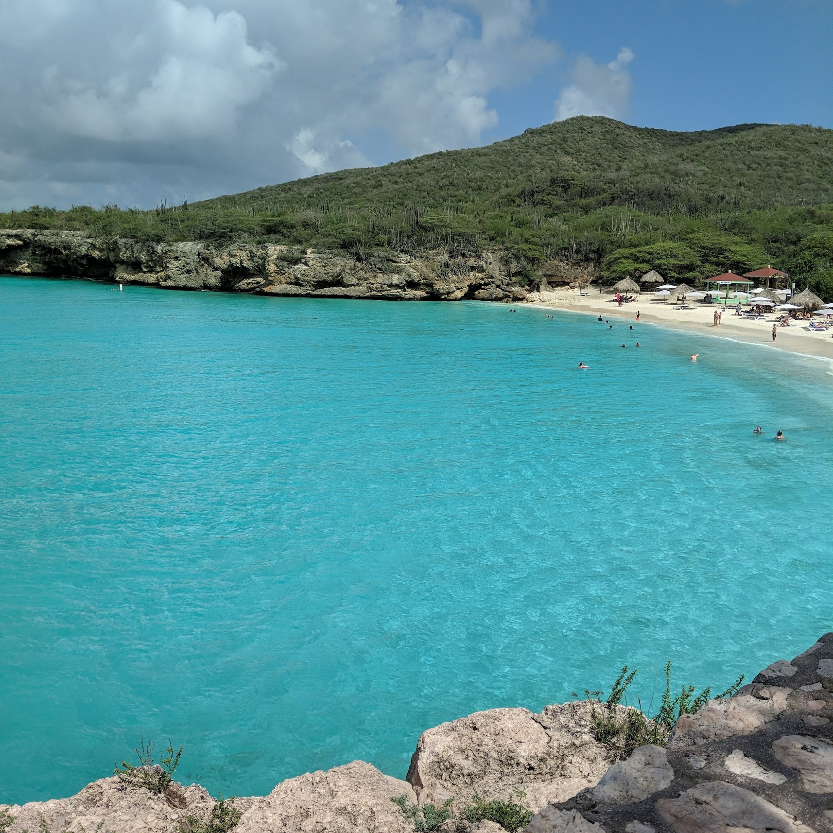 Tropical port day with CamJon Travel voyage planning